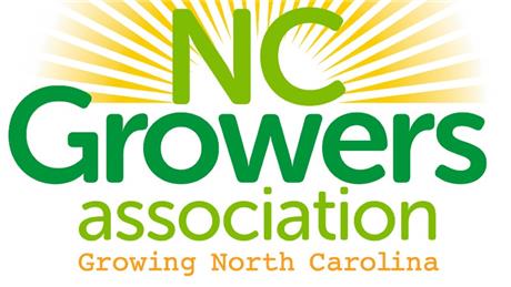 Group Banner Picture